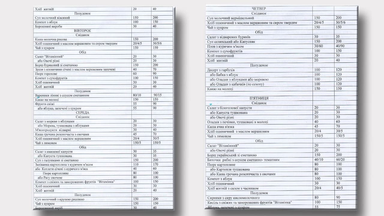Гратен, пудинг и чахохбили: чем будут кормить детей в школах и детсадах Днепра фото 4 3
