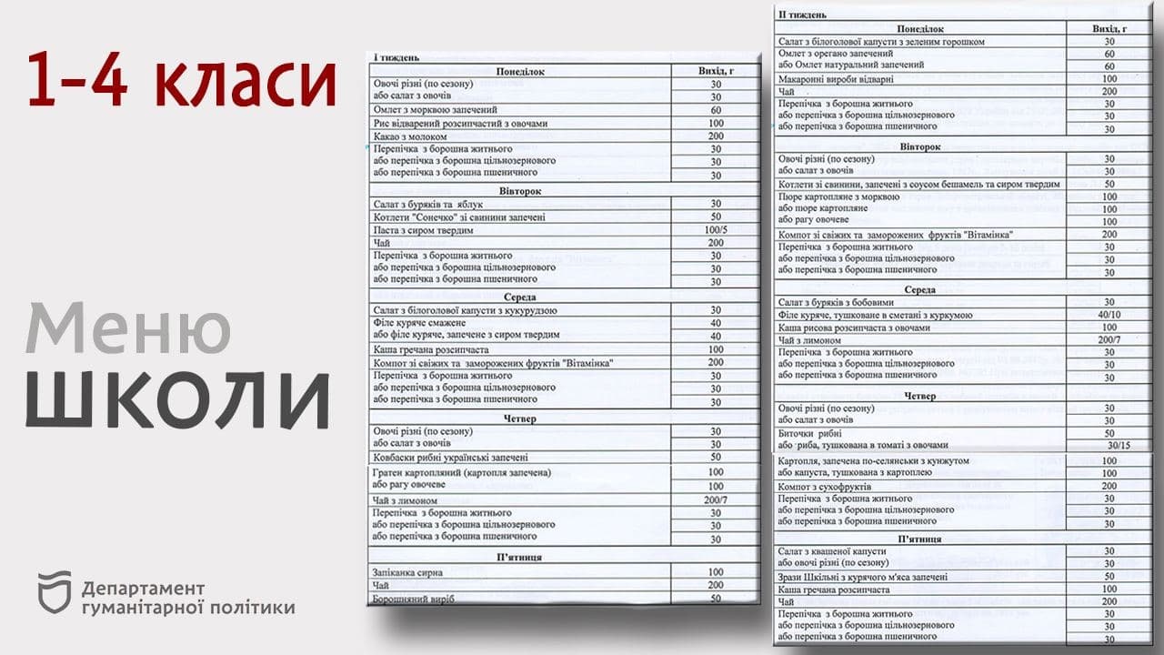 Гратен, пудинг и чахохбили: чем будут кормить детей в школах и детсадах Днепра фото 5 4