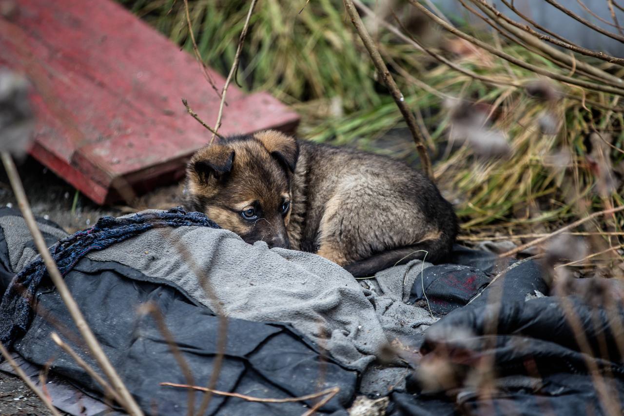 Резниченко показал, как выглядит предприятие после ночного удара дронами по Днепру -