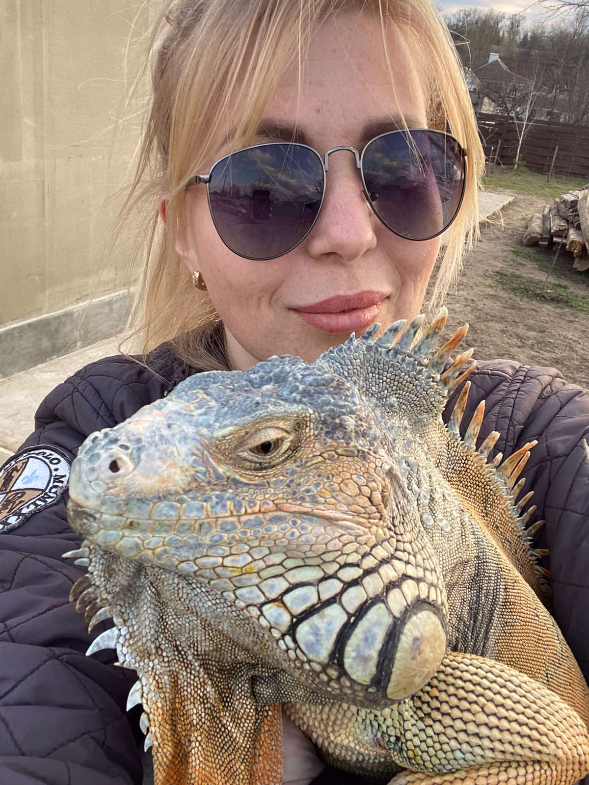 Пропавшая в Днепре игуана / фото предоставила хозяйка Мила