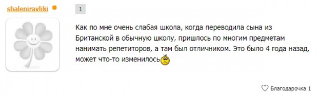 The British International School in Ukraine оказалась мыльным пузырем фото 1