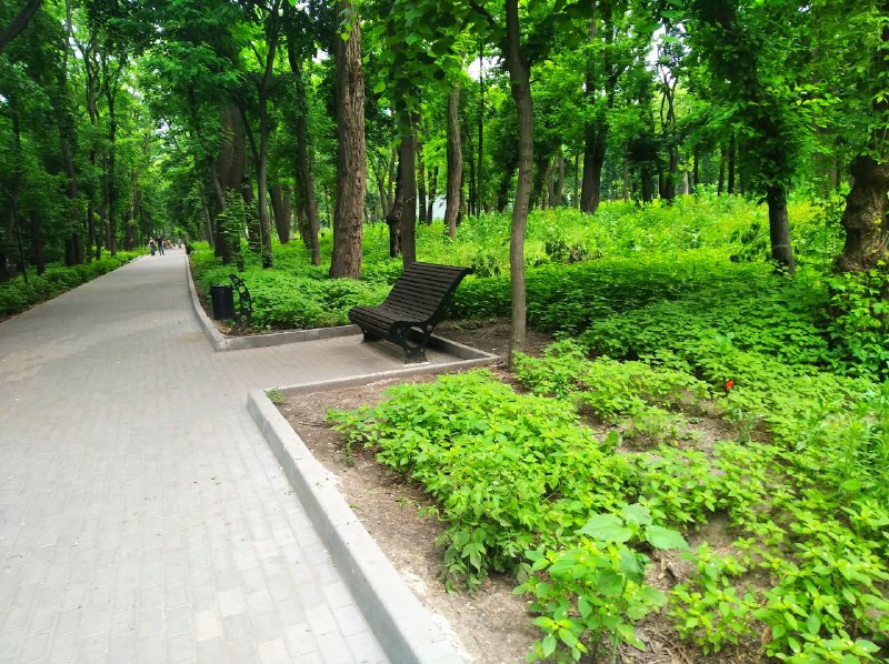 Парк очень зеленый и уютный