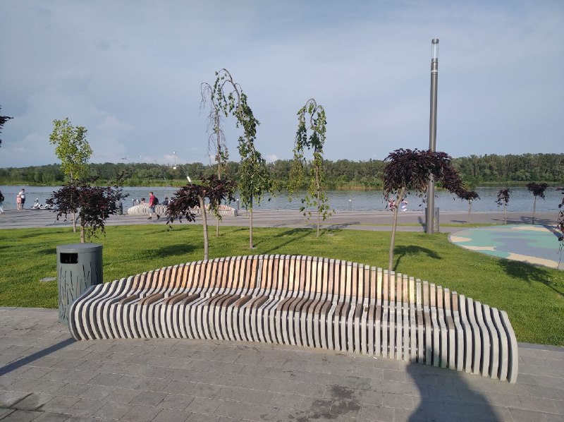 Лавочки с поломанными сидениями и засохшие деревья 