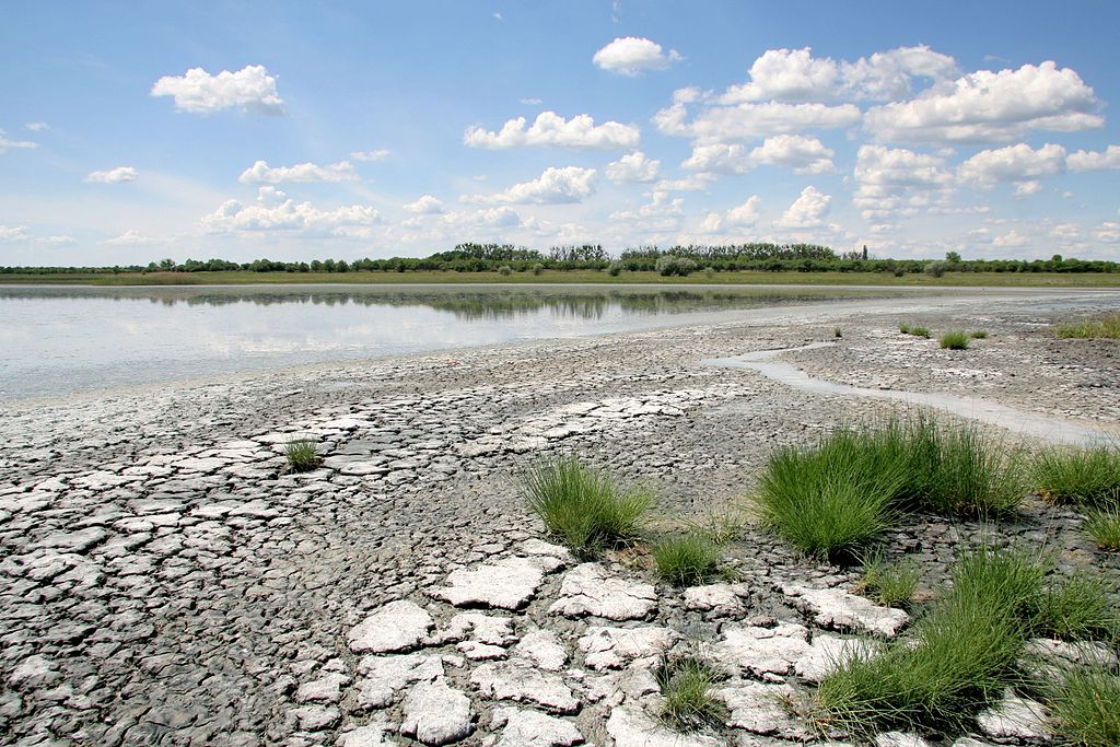 Соленый лиман / фото: wikipedia Bonna Mistress