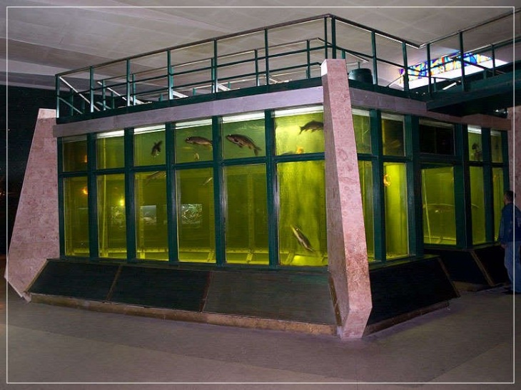 Аквариум / фото: detivgorode.ua