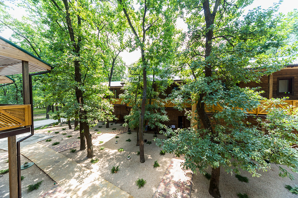 Дубки / фото со страниц заведения в соцсетях