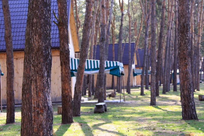 Лес на Самаре / фото со страниц заведения в соцсетях