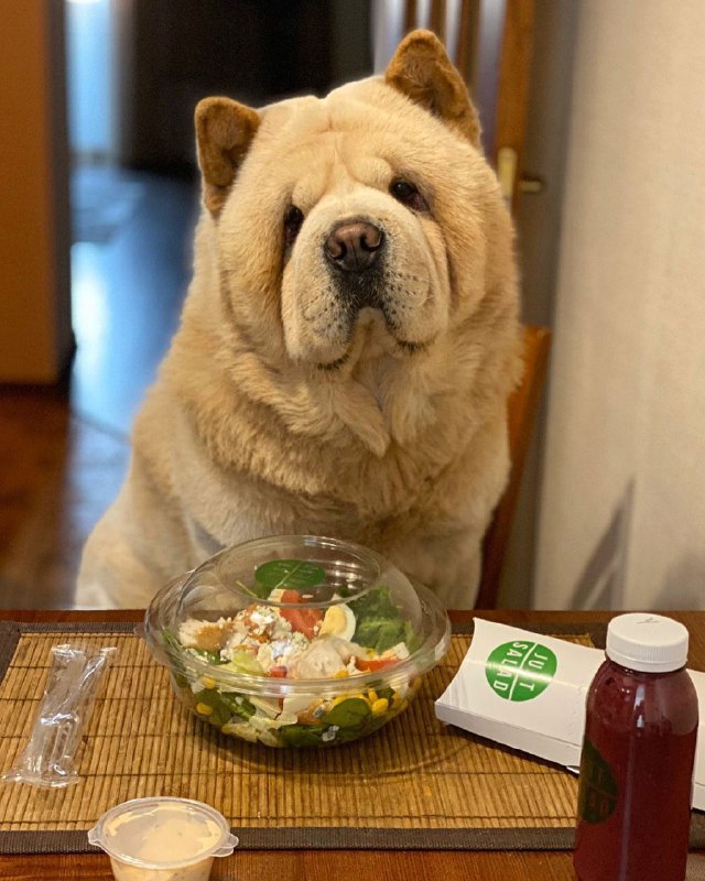 Пицца, суши и ПП: где в Днепре заказать еду с доставкой фото 4 3