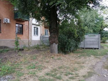 Чистая придомовая территория. Фото прислал читатель