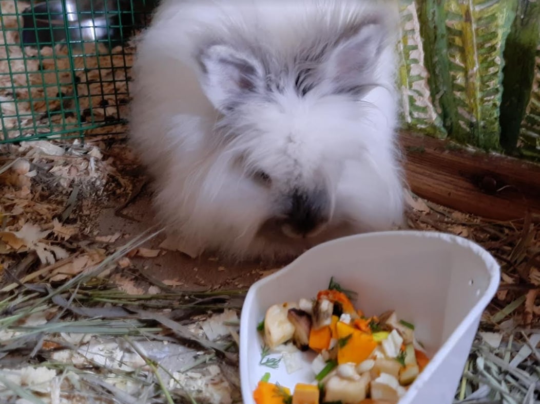 Зоопарк "Жива планета" фото 2 1