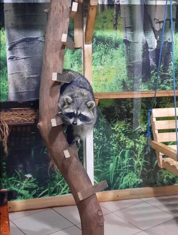 Зоопарк "Жива планета" фото 3 2