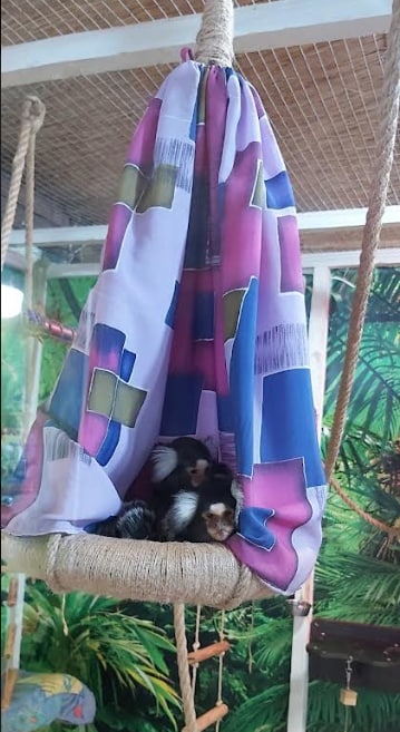 Зоопарк "Жива планета" фото 5 4