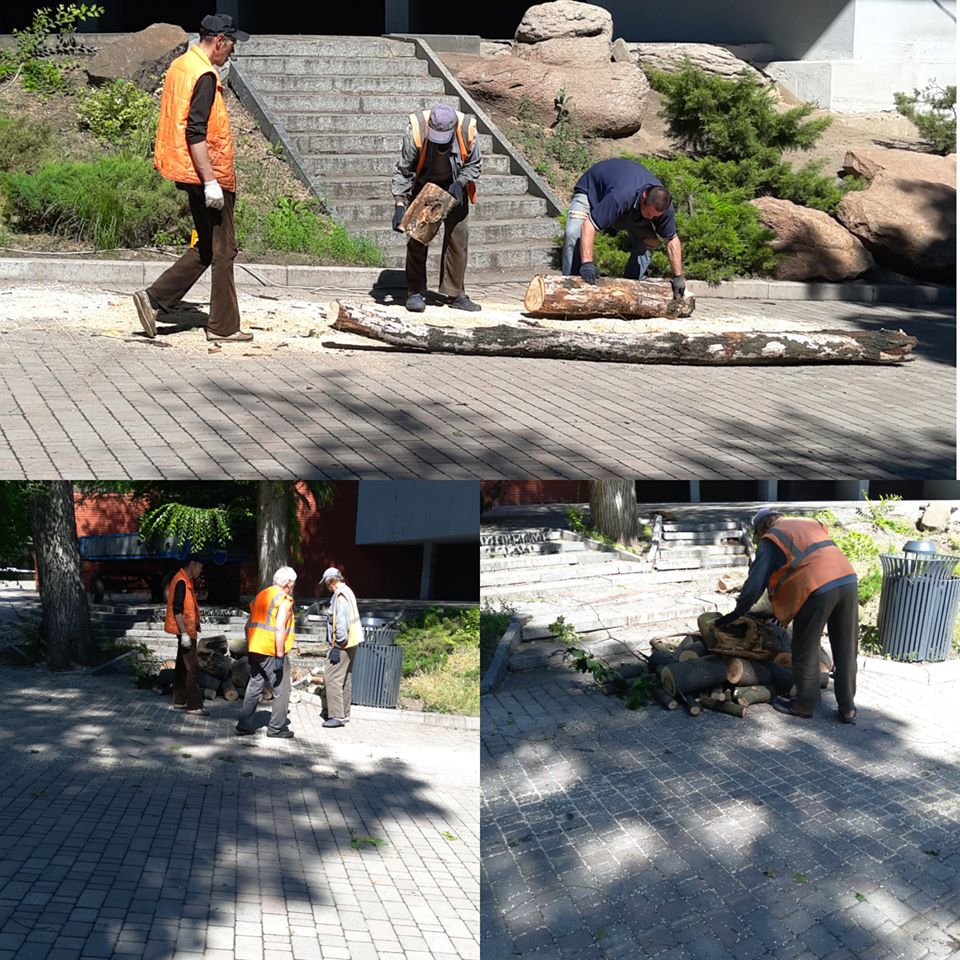 Последствия непогоды: парк Шевченко завалило упавшими ветками (фото) фото 1