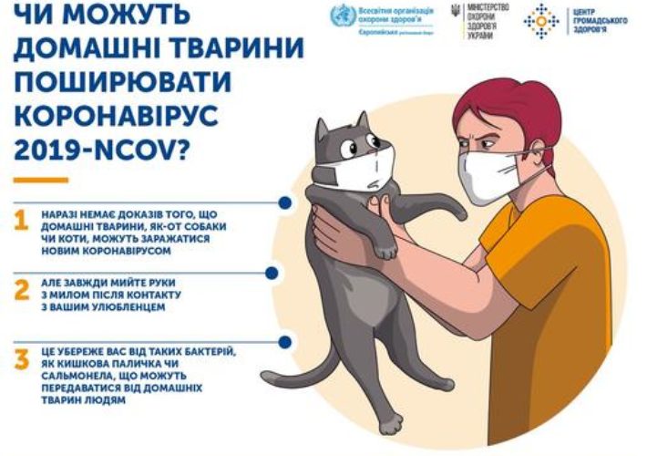 Спорная ситуация/ фото: сайт ОГА