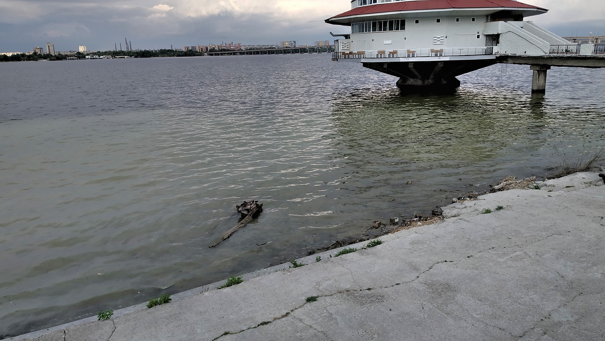 Как болото/ фото: Александр Сохач