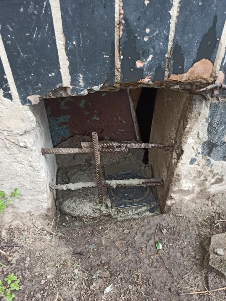 Паника затмевает рассудок: на Левом берегу замуровали котов из-за коронавируса фото 1