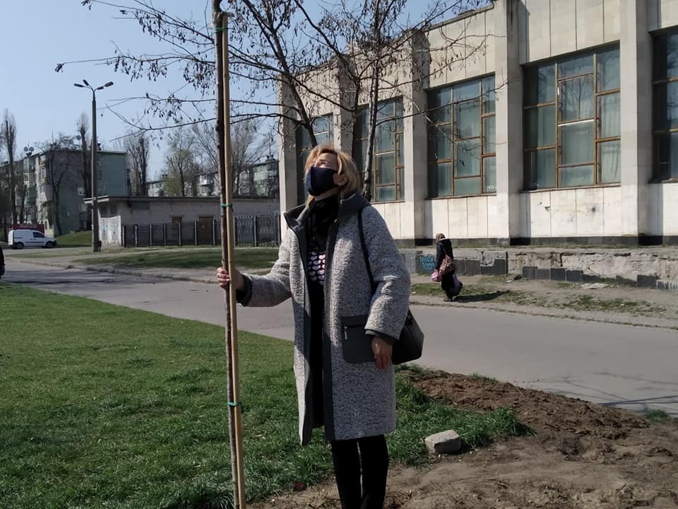 Все деревья высаживали в соответствии с правилами безопасности/ все фото: Ольга Меркулова