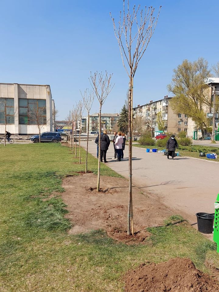 Райончик помнит своих героев: на Левом берегу высадили аллею в память об Усачеве (фото) фото 2 1