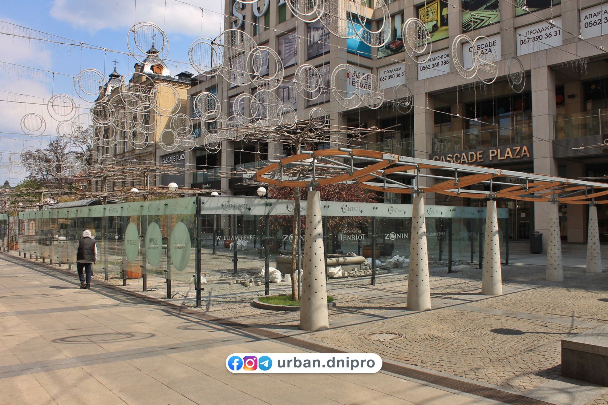 Прячься в тень: на Екатеринославском бульваре высадили молодые платаны (фото) фото 1