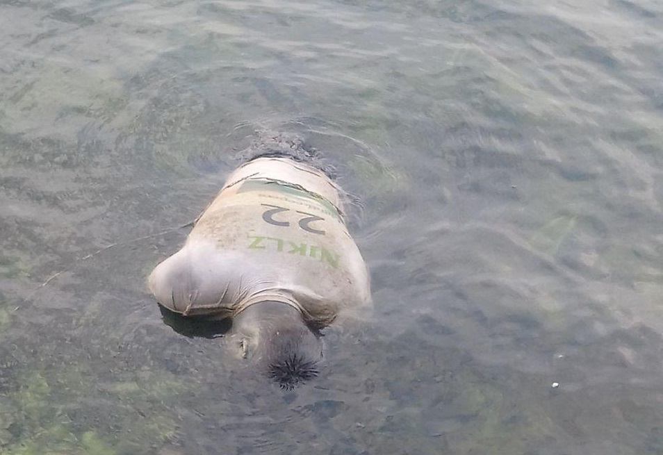 Тело утонувшего парня/ фото: Днепр оперативный