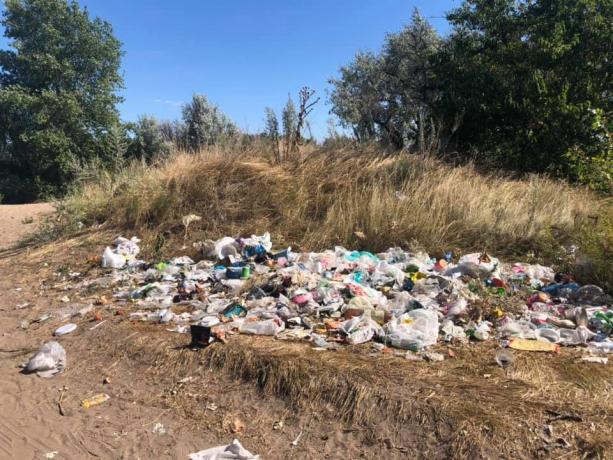 Мусорить проще, чем убирать/ фото: фб Игорь Ащеулов