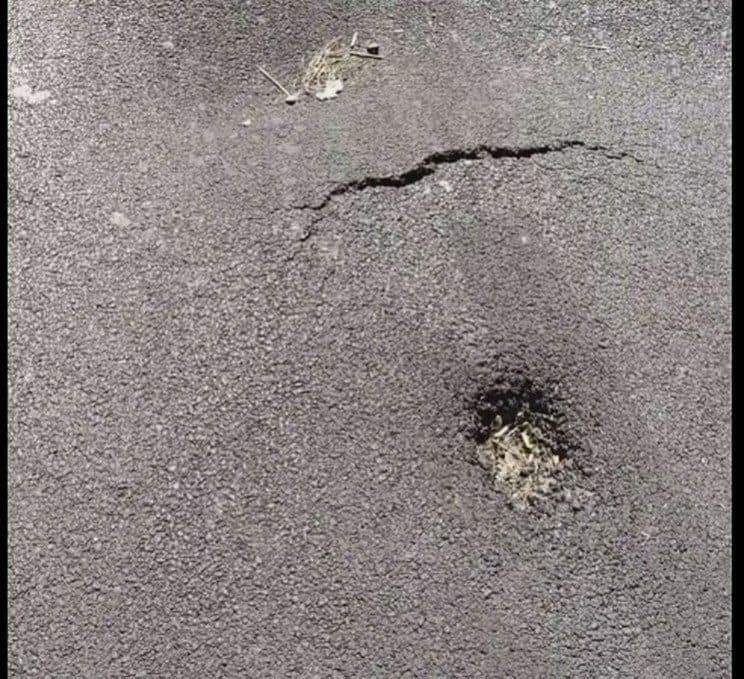 Неприятное образование/ фото: фб Александр Куприенко