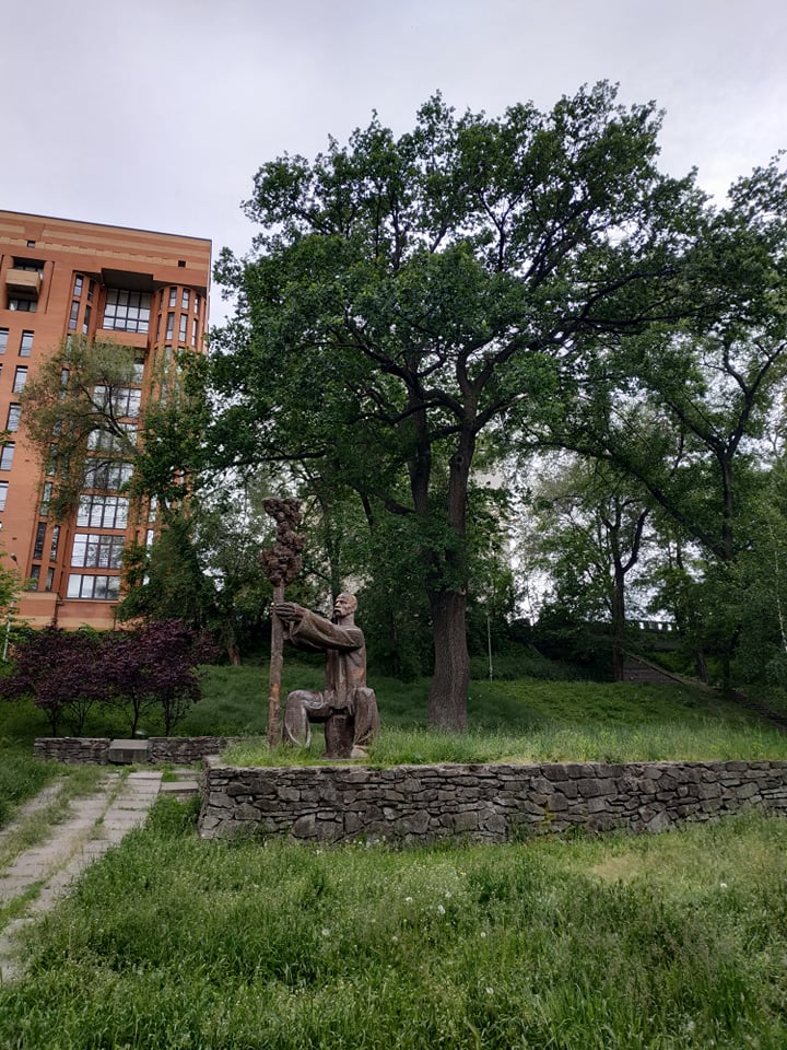 Мало кто знает, что это поистине легендарное дерево/ фото: фб департамент парков и рекреаций 