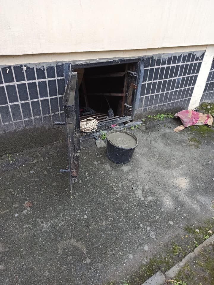 Котов в обиду не дают/ фото: Алена Малик