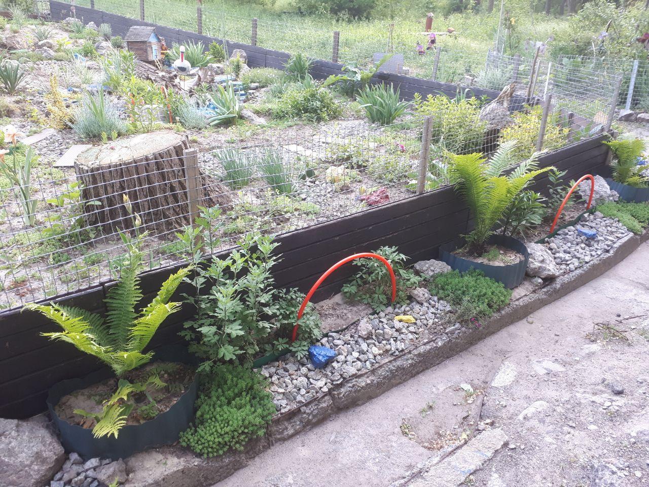 Райский уголок: днепряне превратили двор в произведение искусства (фото) фото 1