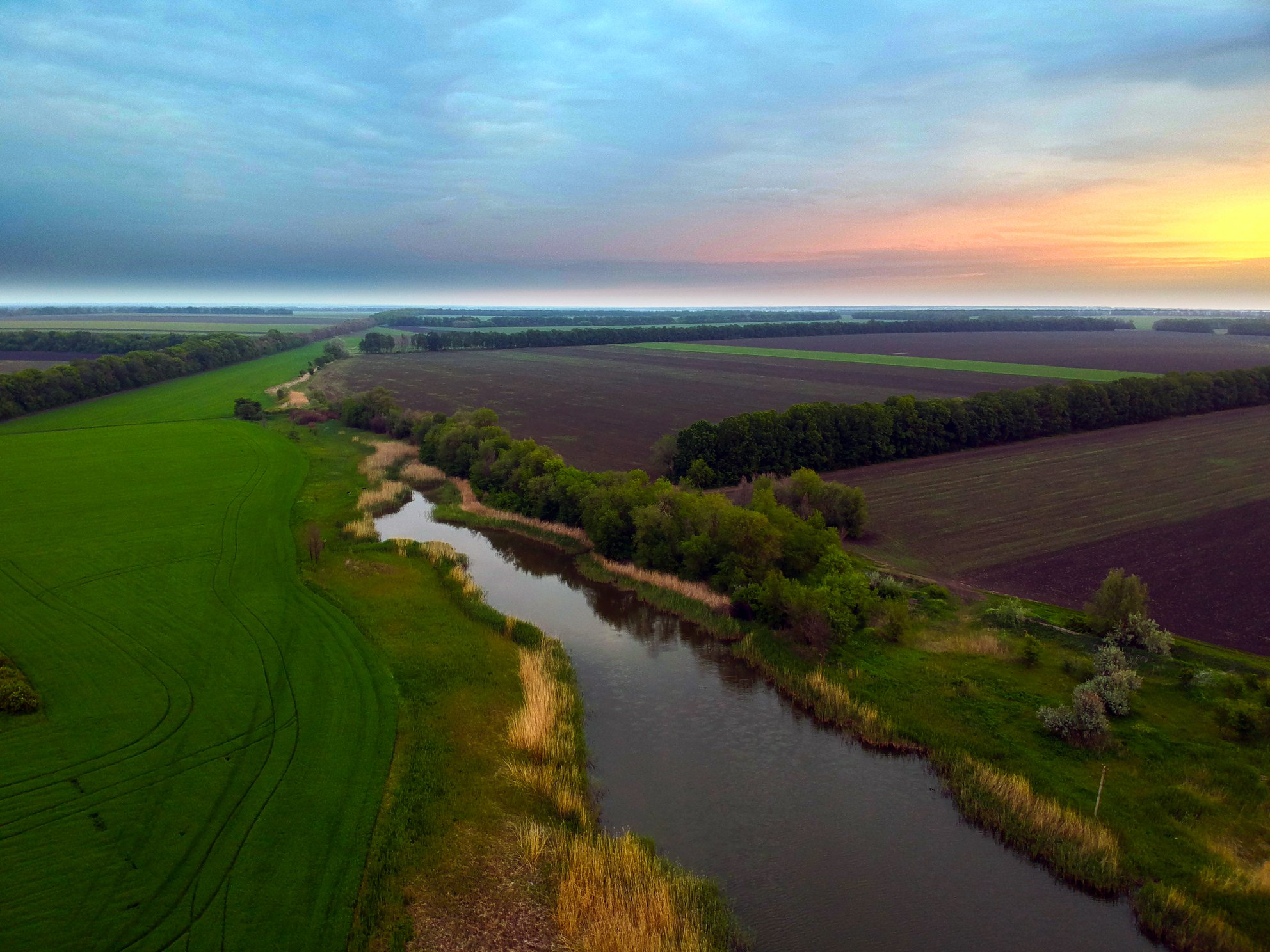 Выглядит очаровательно/ все фото: Юрий Горб