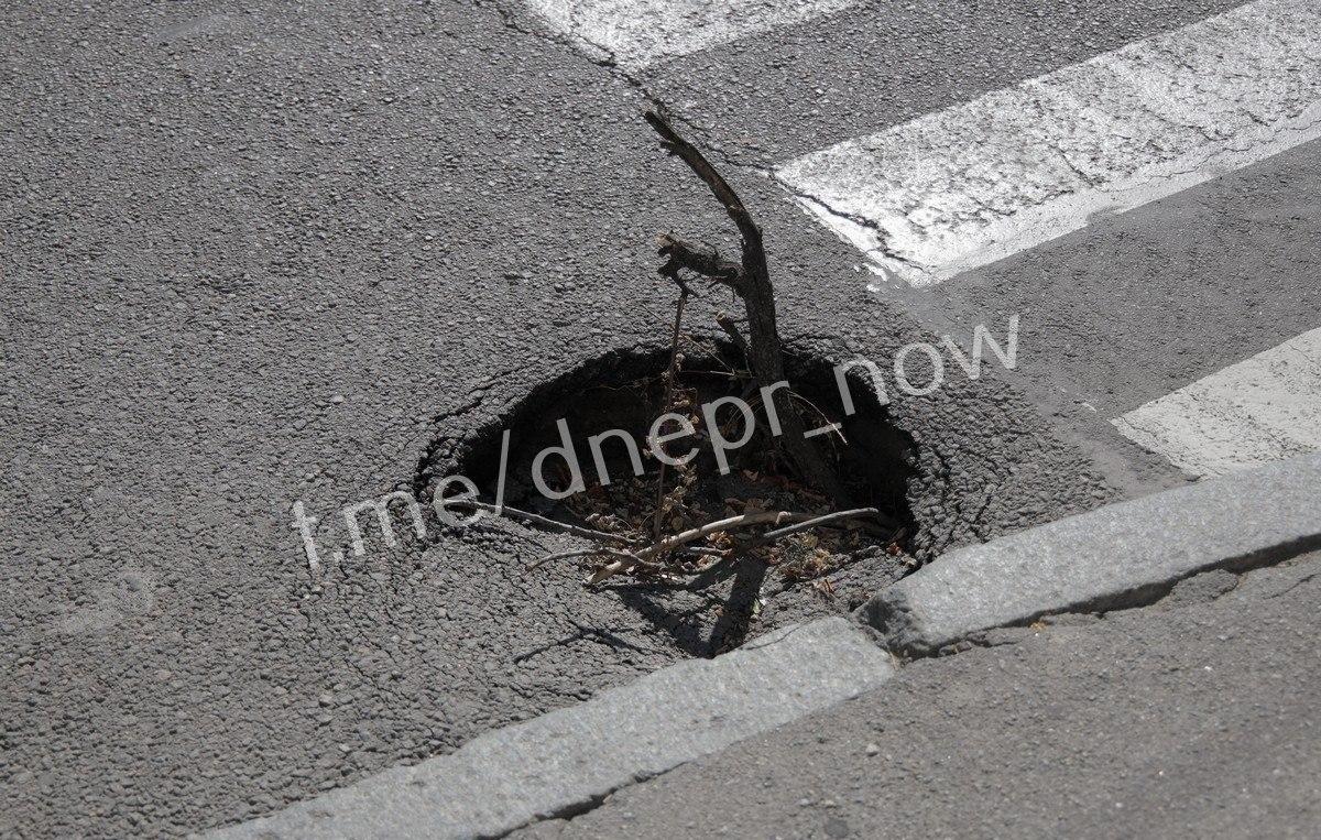 Палка-сигналка о дыре в асфальте/ фото: ДС