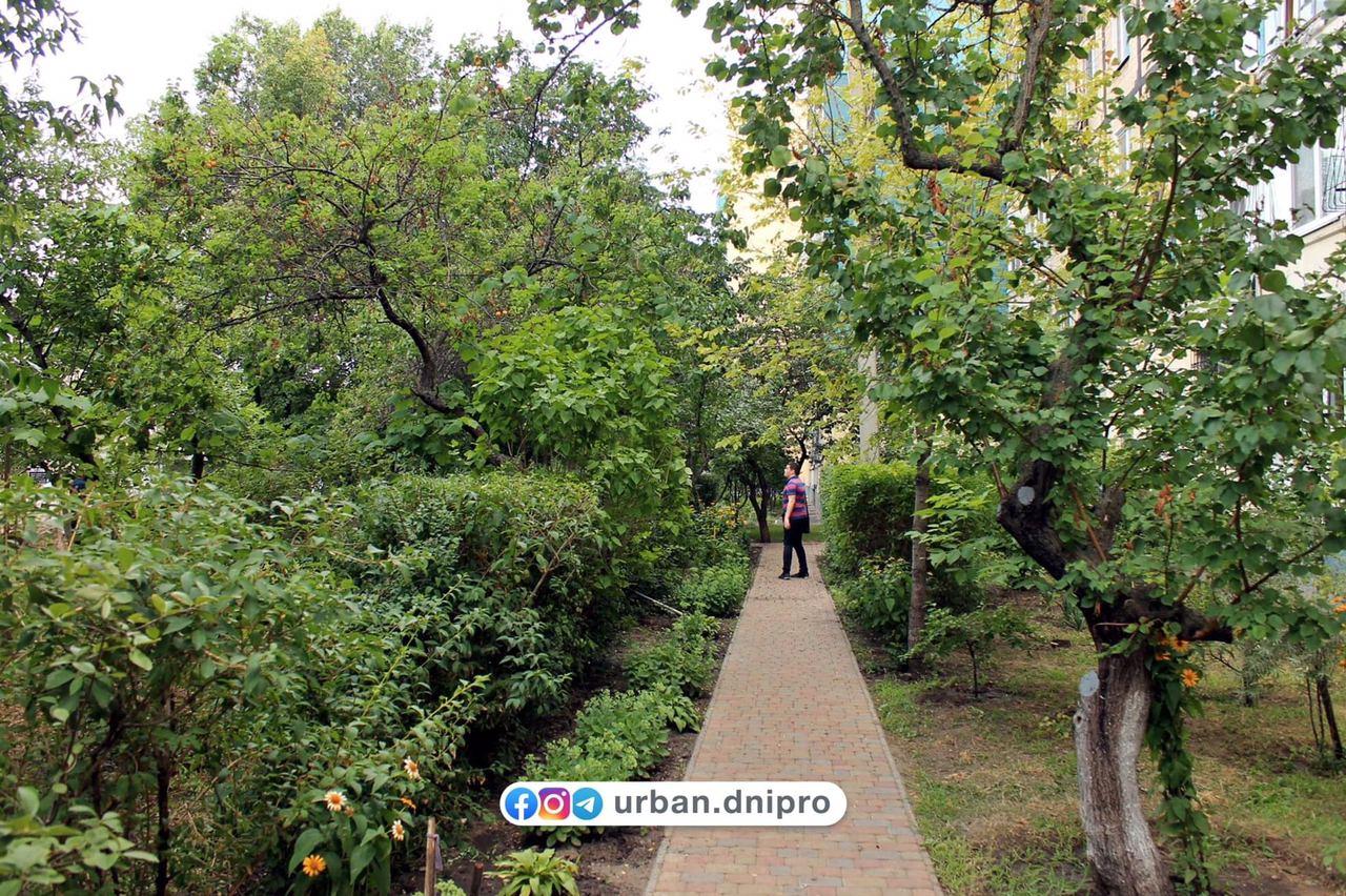 Десятки деревьев и кустов/ фото фб Urban Dnipro