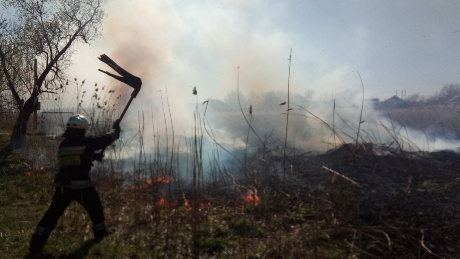 Едва не сгорел заживо: спасатели вытащили из огня ежа-манюню фото 2 1