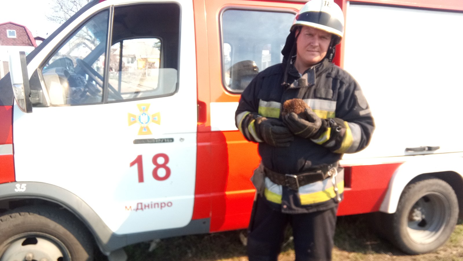 Этот парень (ежик) лишился дома, но не жизни/ фото: пресс-служба ГСЧС в Днепропетровской области