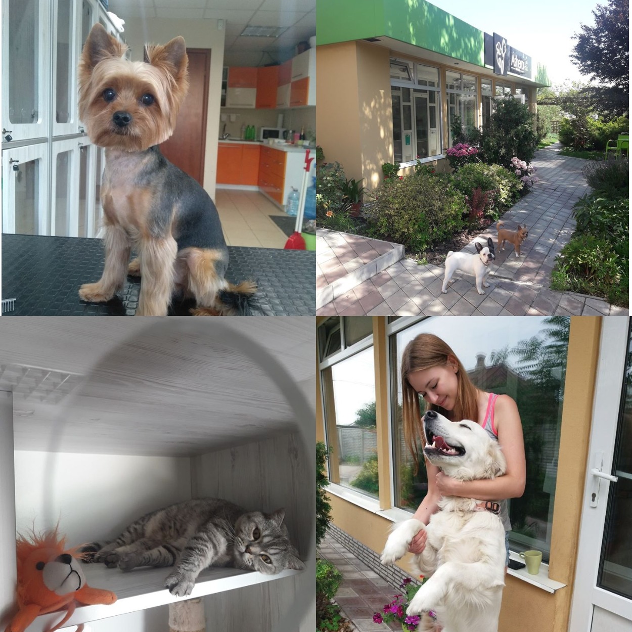 Люксовые условия отеля "Ashera"/ фото fb Ashera club