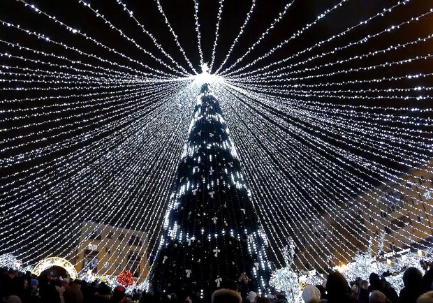 Засияла главная елка Полтавы/ фото: poltava.sq.com.ua