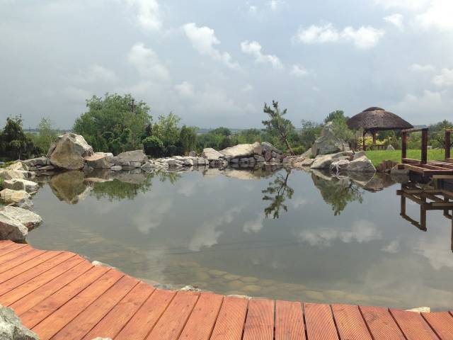 Завораживающий пейзаж "Сакуры"/ фото: bazi-otdiha.com.ua