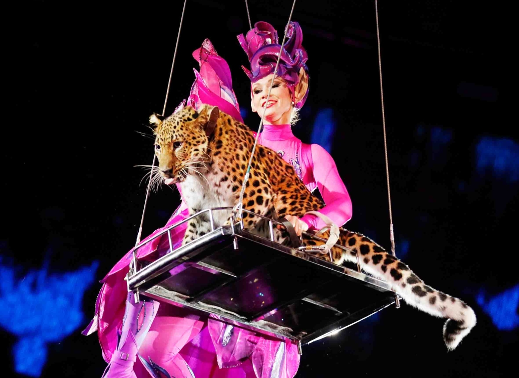 Яркий Новогодний карнавал в цирке в Днепре.