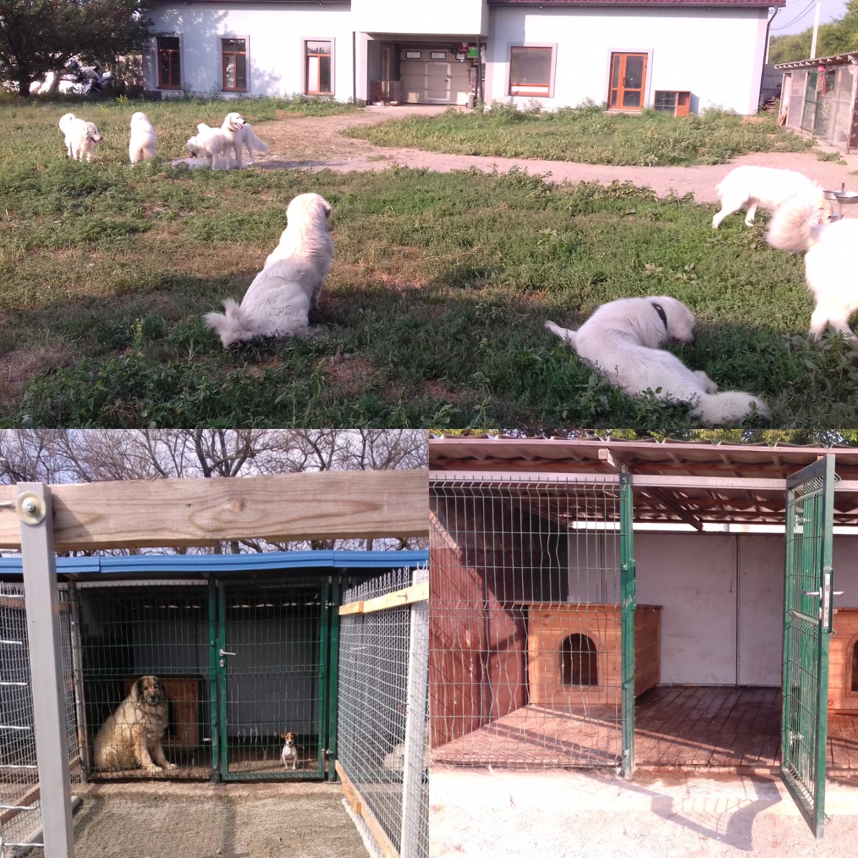 Гостиница "Ветер"/ фото: zooveter.com