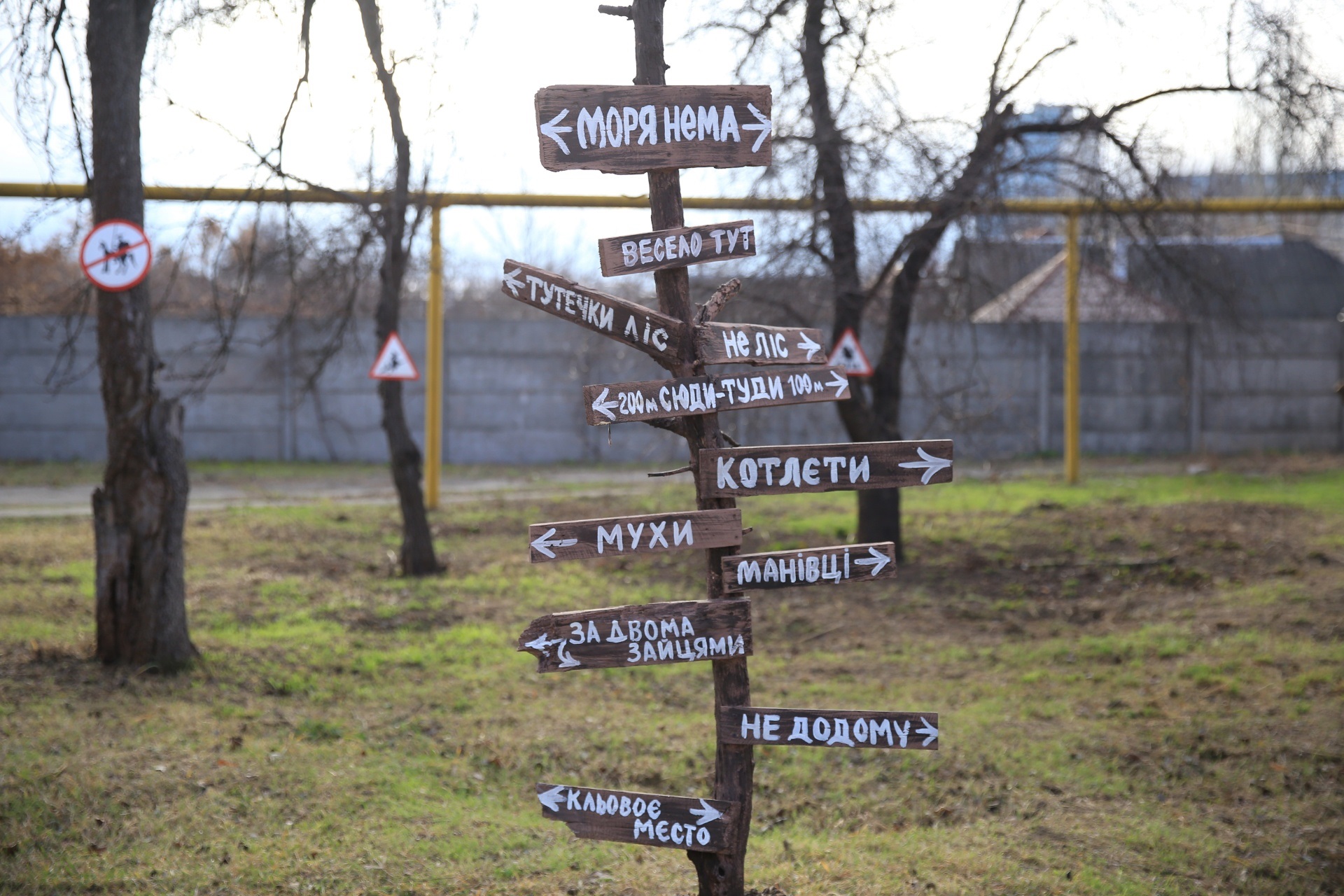 В Днепре появился детский веревочный парк "Активная страна".