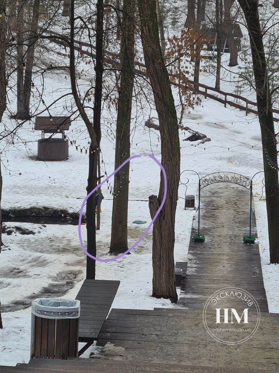 Так выглядит дерево, в которое на санках врезались отец и дочка.