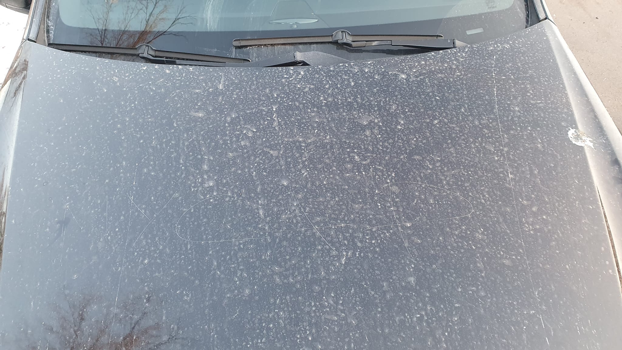 Слово "мусор" на капоте авто Юлии Сегеды.