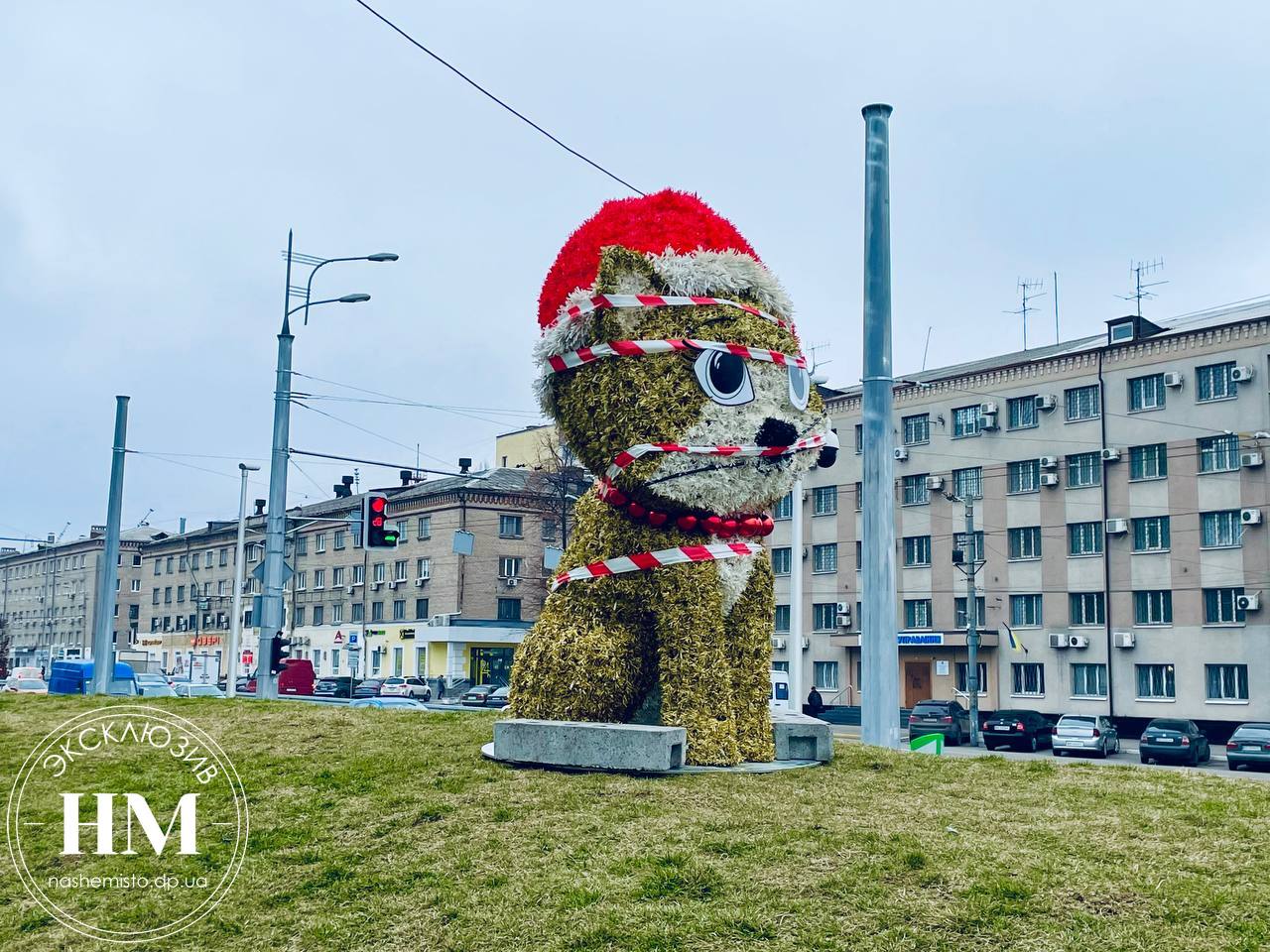 Кошка в сквере на Слобожанском проспекте .