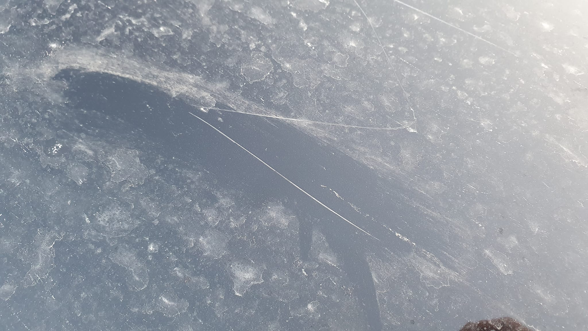 Царапины на капоте авто Юлии Сегеды.