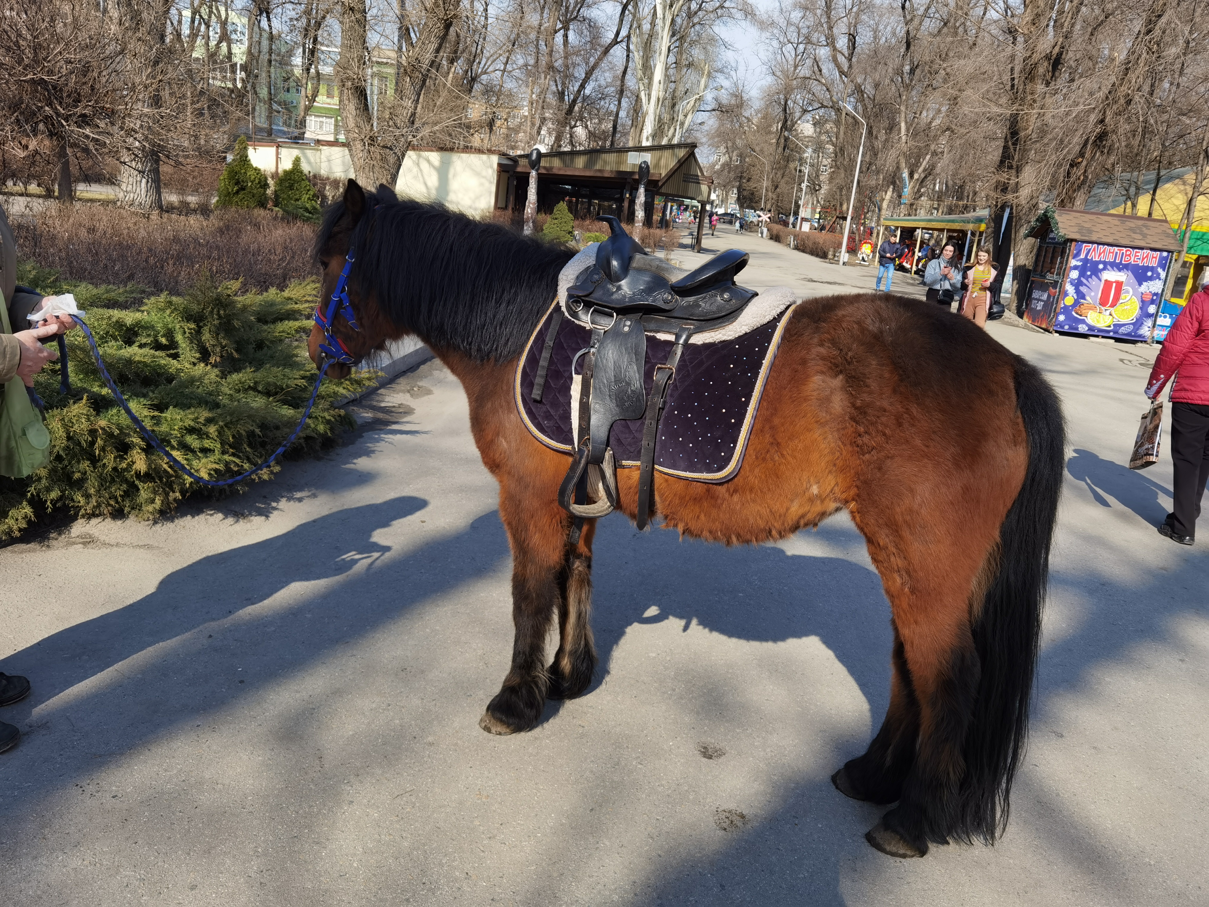 Поездка на пони в парке Глобы/ фото: Светлана Юрченко