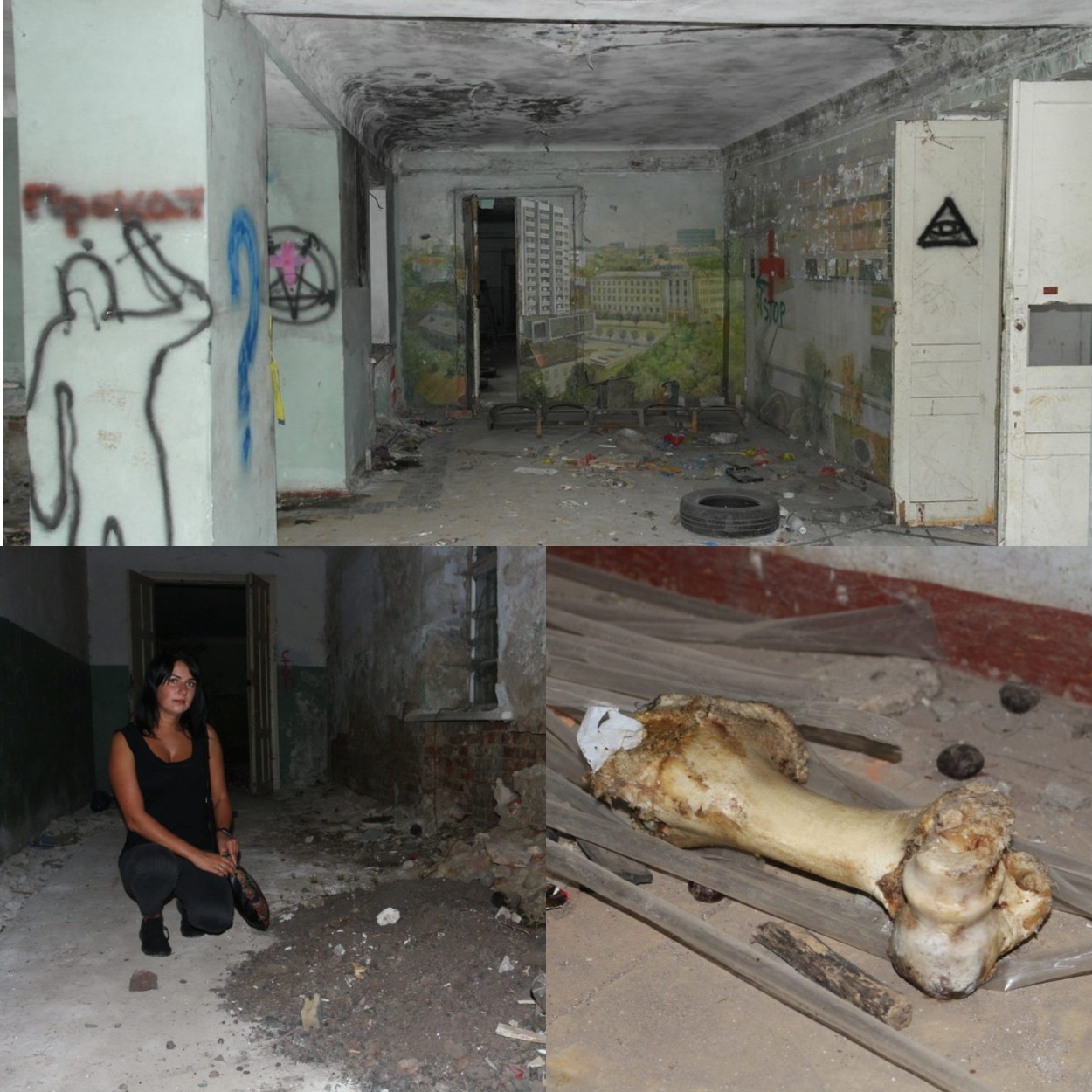 Знаки на стенах, кость и гора земли/ фото: nashemisto.dp.ua