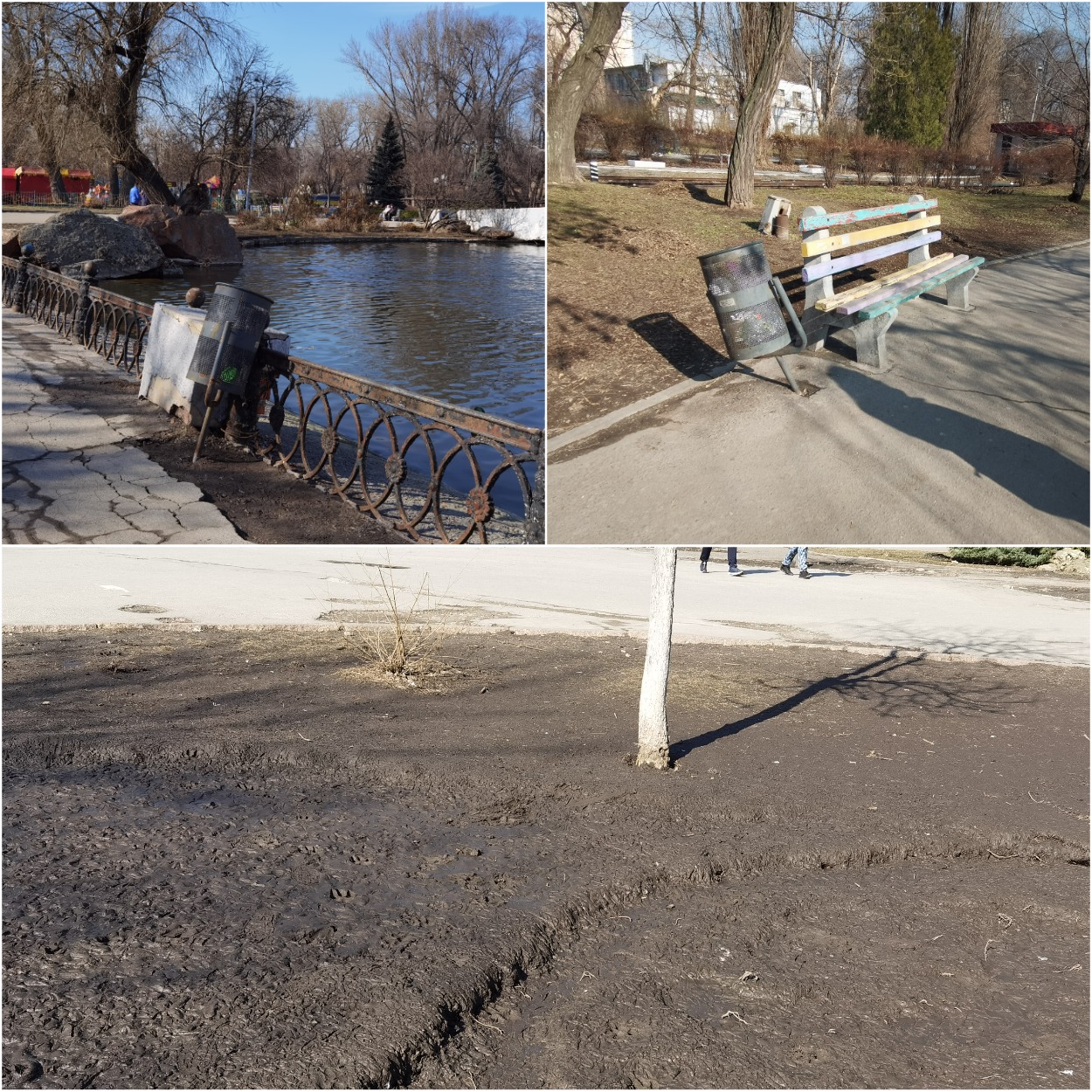 Почва возле озера в парке Глобы/ фото: Светлана Юрченко