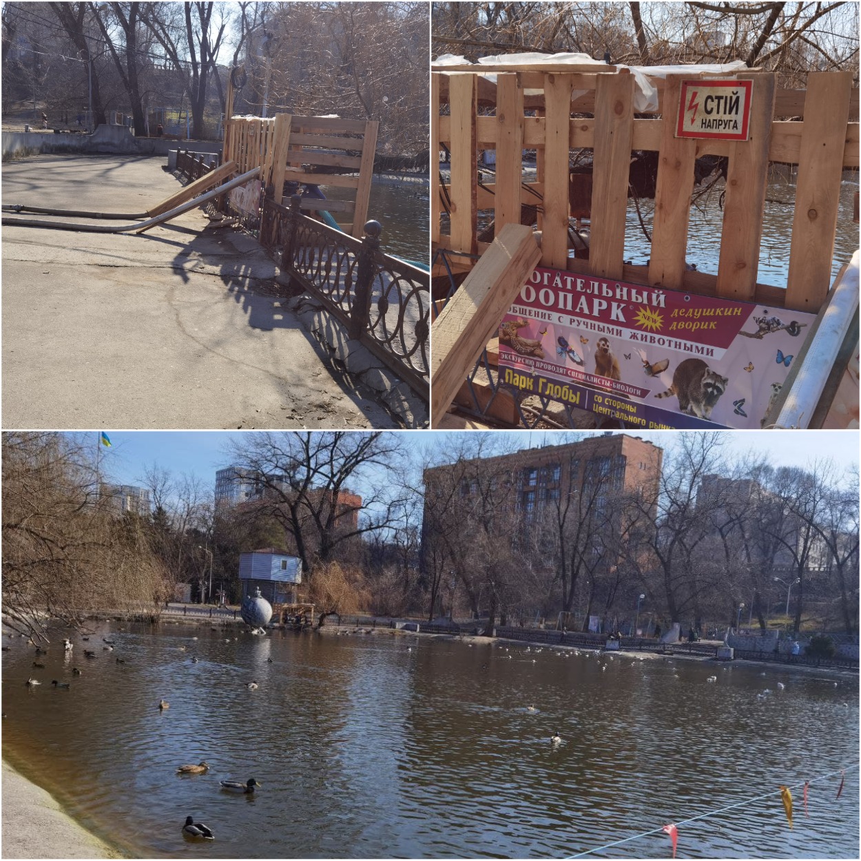 Откачивают воду в парке Глобы/ фото: Светлана Юрченко