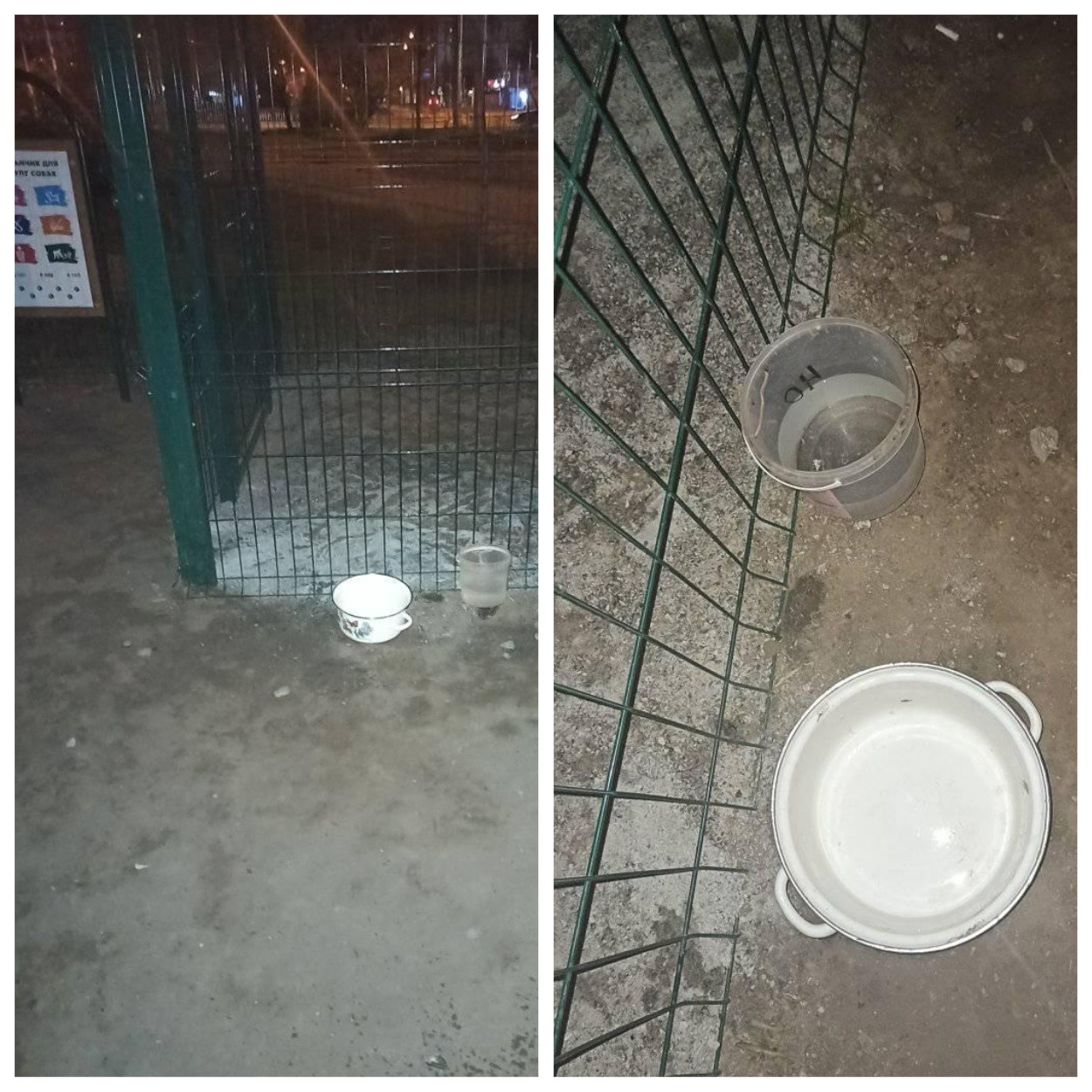 Общие поилки для собак, в которые насыпали песок с битым стеклом/ фото: fb Дарьи Карпенко