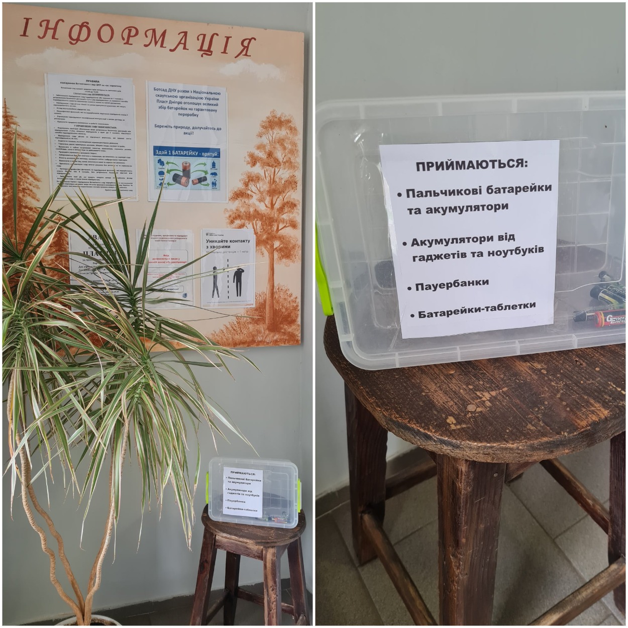 Бокс для сдачи нерабочих батареек/ фото: fb ботсада ДНУ 